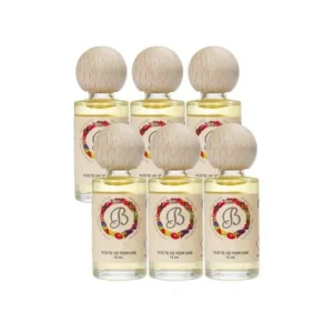 Boles d'Olor Bottle Fir Essence 6x12ml