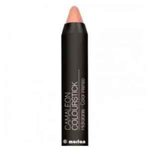 Camaleon Cosmetics Chameleon colourstick nº 5 lipstick (nude) 4g