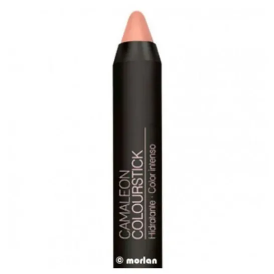 Camaleon Cosmetics Chameleon colourstick nº 5 lipstick (nude) 4g