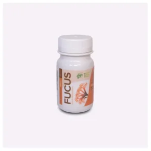 GHF Fucus 500mg 100comp