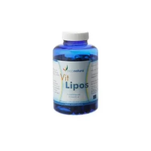 INFUTISA Ginkgo Biloba 25filters