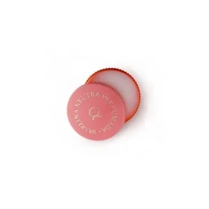 GAL Neutral perfumed Vaseline 13ml