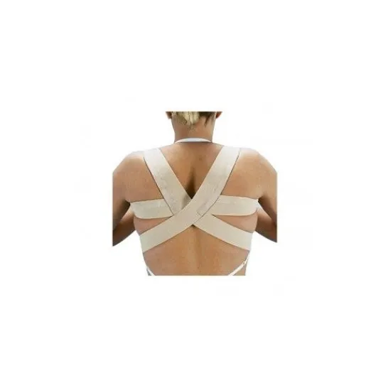 ORLIMAN Normal Backrest E-240/5