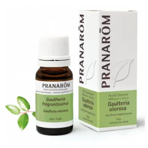 Pranarôm essential oil of Wintergreen ORGANIC 10ml