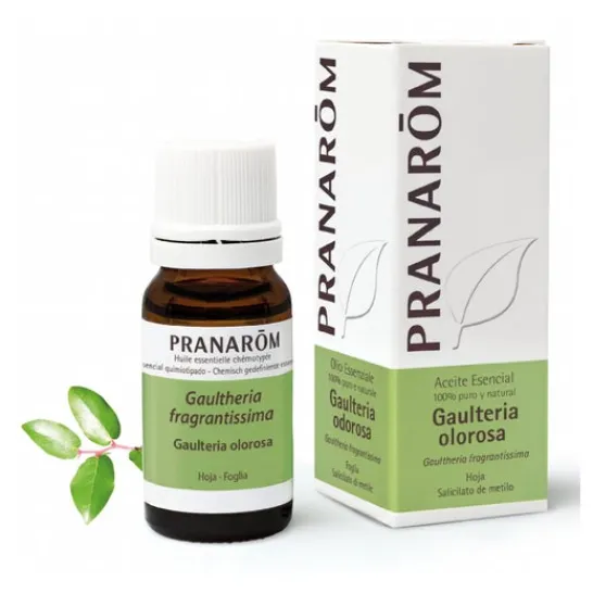 Pranarôm essential oil of Wintergreen ORGANIC 10ml