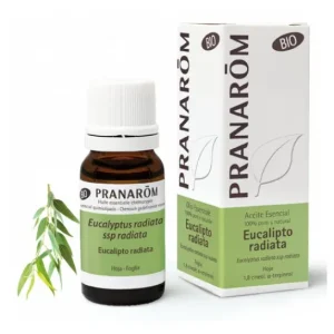 Pranarôm PranarÌm essential oil of eucalyptus radiata BIO 10ml