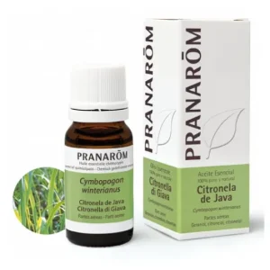 Pranarôm PranarÌm essential oil of citronella of java 10ml
