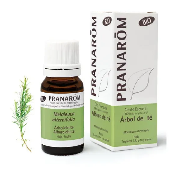 Pranarôm Organic Tea Tree Essential Oil 10ml