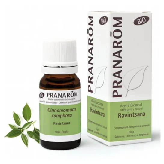 Pranarôm Ravintsara Qt Cineol BIO 10 Ml