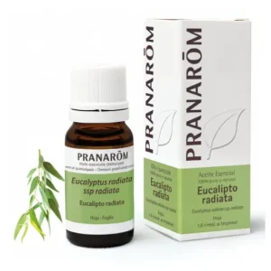 Pranarôm Pranarom Eucalyptus Radiat Ac Esenc 10ml