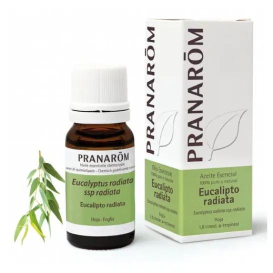 Pranarôm Pranarom Eucalyptus Radiat Ac Esenc 10ml