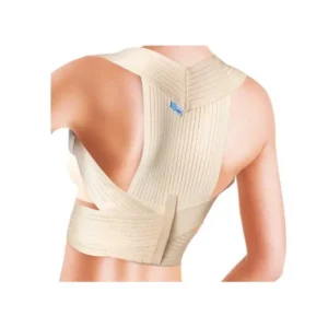 Prim Espaldillera Comfort 335 T L 1ud