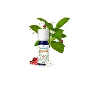 Puressentiel Essential oil gaultherie bio 10 ml
